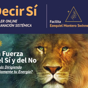 Decir Sí. La fuerza del Sí y del No.